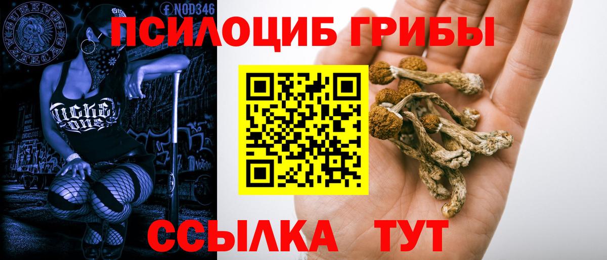 Псилоцибиновые грибы ЛСД Осинники