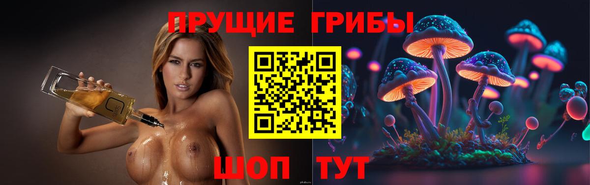Осинники  Галлюциногенные грибы GOLDEN TEACHER  Вход с VPN 